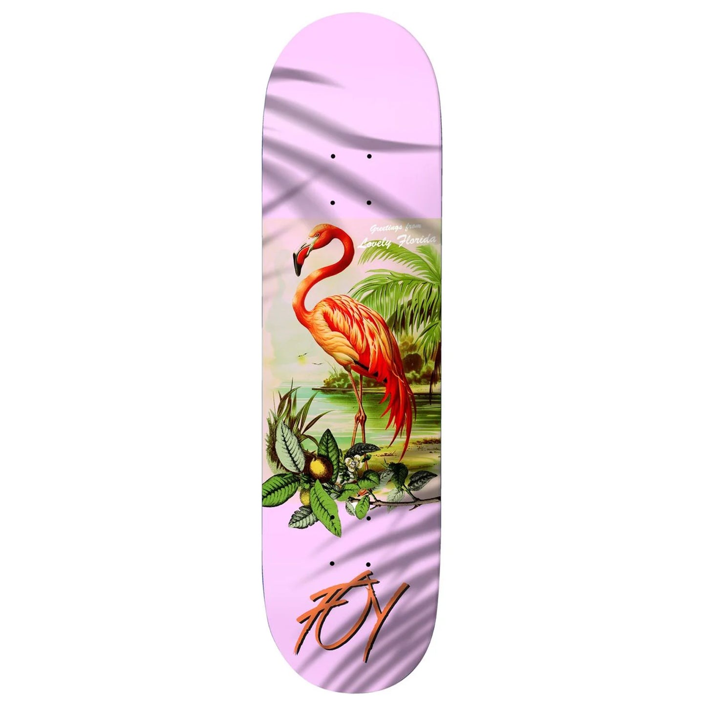 Deathwish Foy Flamingo Deck 8.0