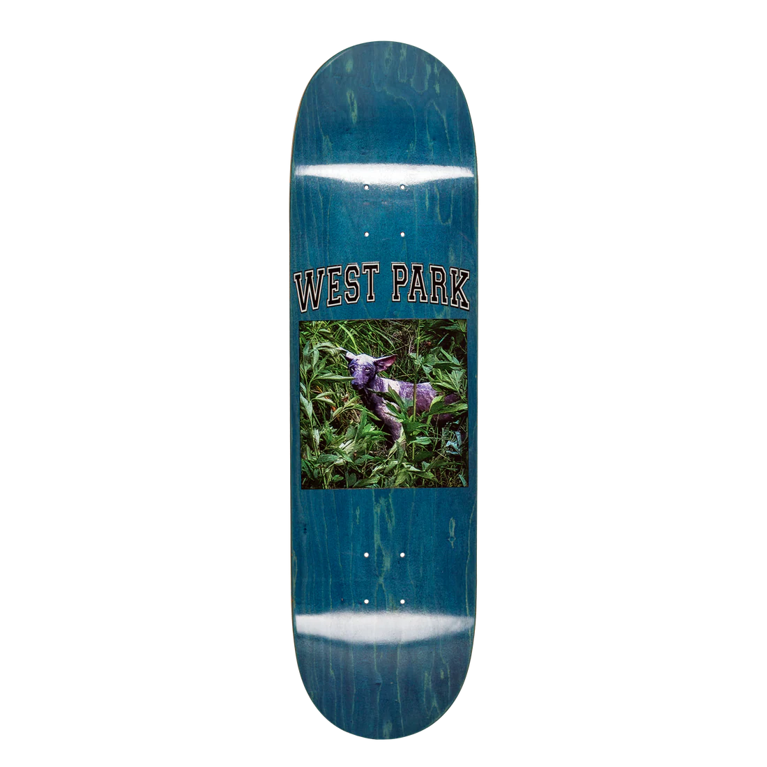 Limosine Aaron Loreth Angel Deck