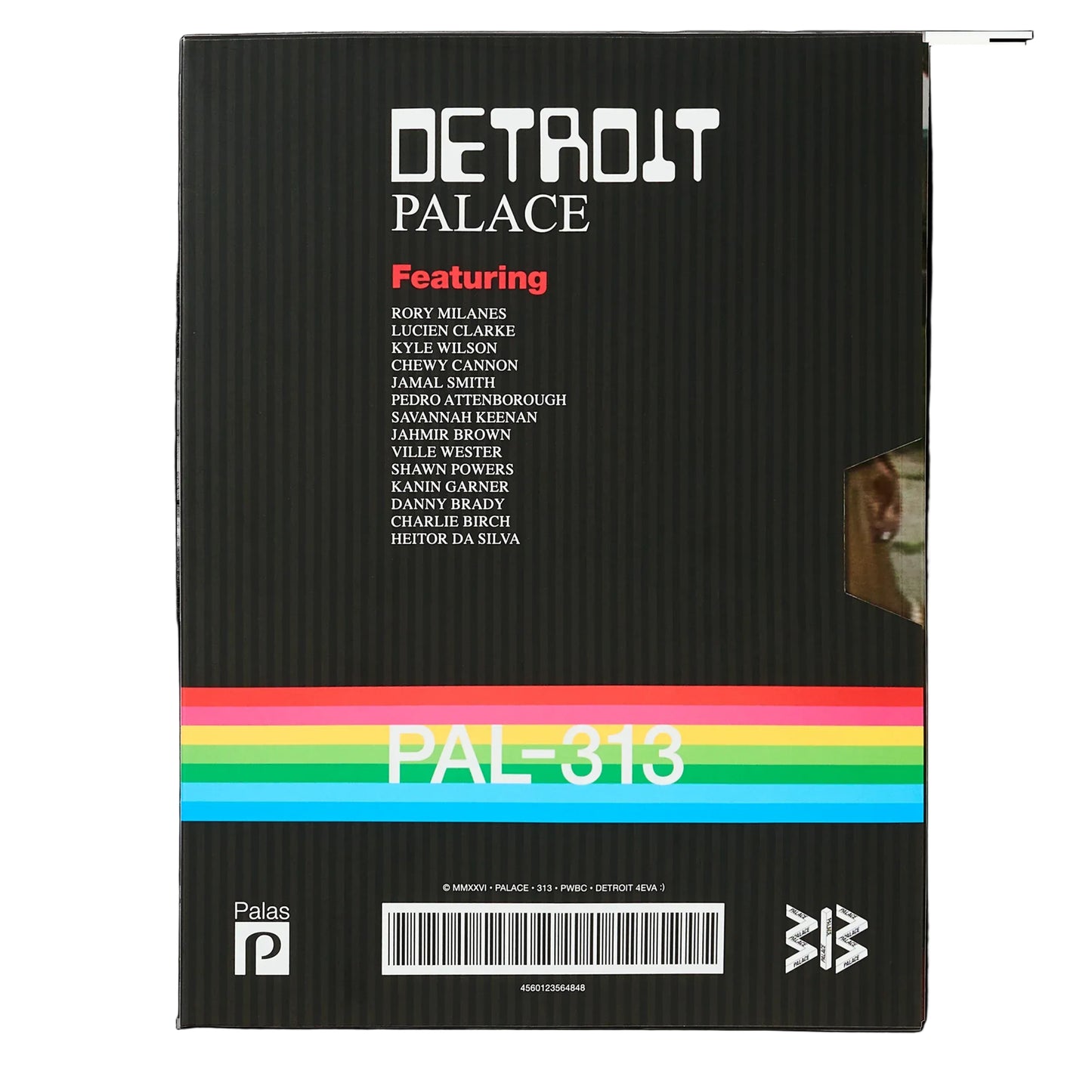 A black vinyl record sleeve for Detroit Palace's PAL-313 release, featuring a rainbow stripe graphic and artist names on a white background.
