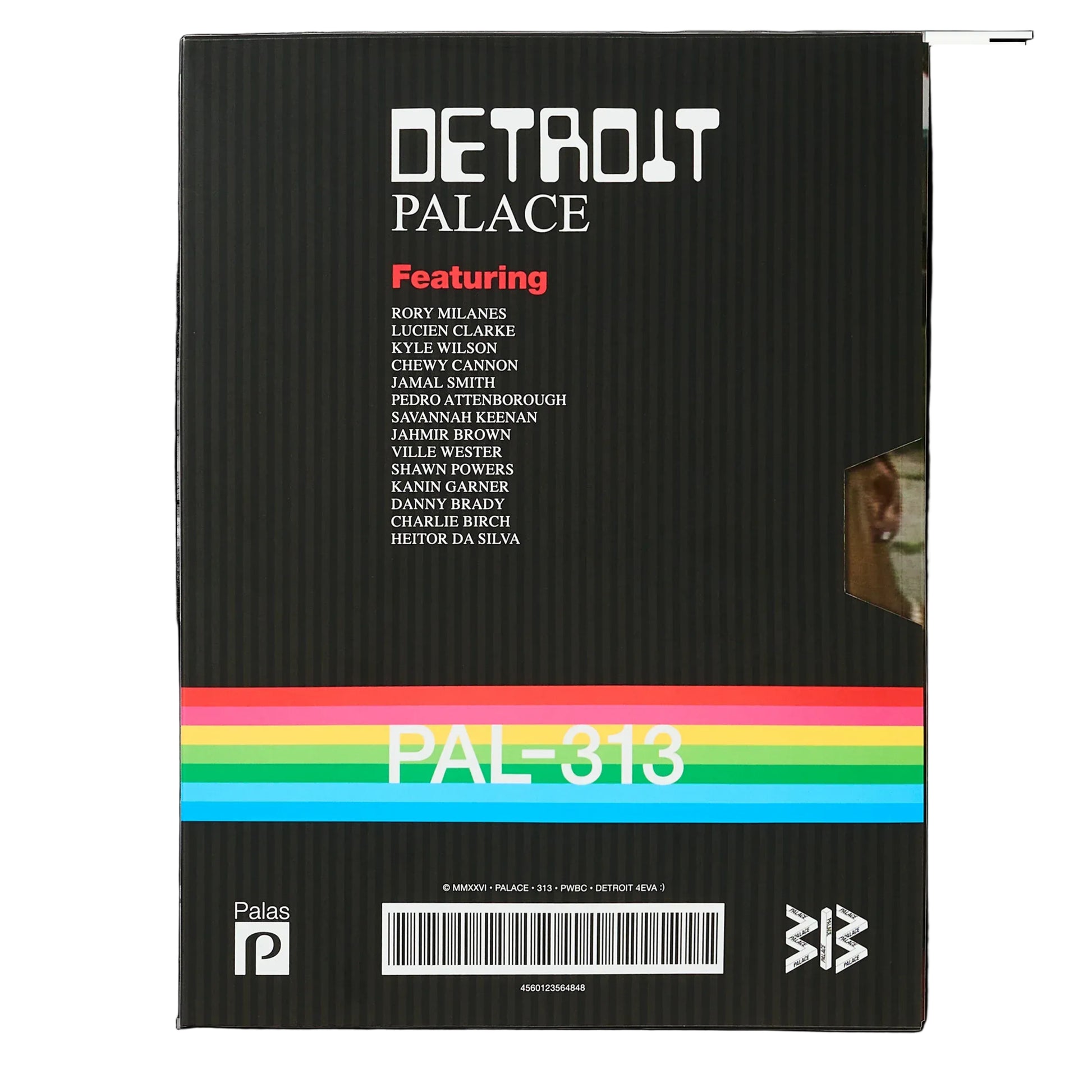 A black vinyl record sleeve for Detroit Palace's PAL-313 release, featuring a rainbow stripe graphic and artist names on a white background.